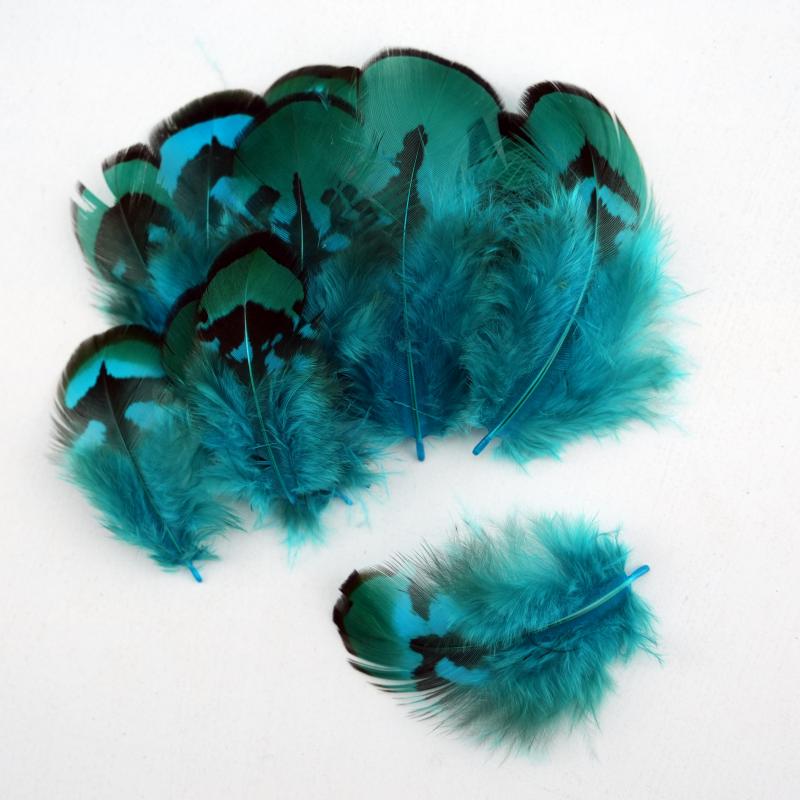 Natural DIY Pheasant Feathers  - Wedding Supply In Bulk recensie en prijs