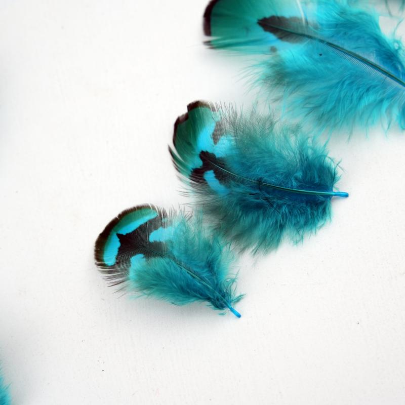 Natural DIY Pheasant Feathers  - Wedding Supply In Bulk recensie en prijs