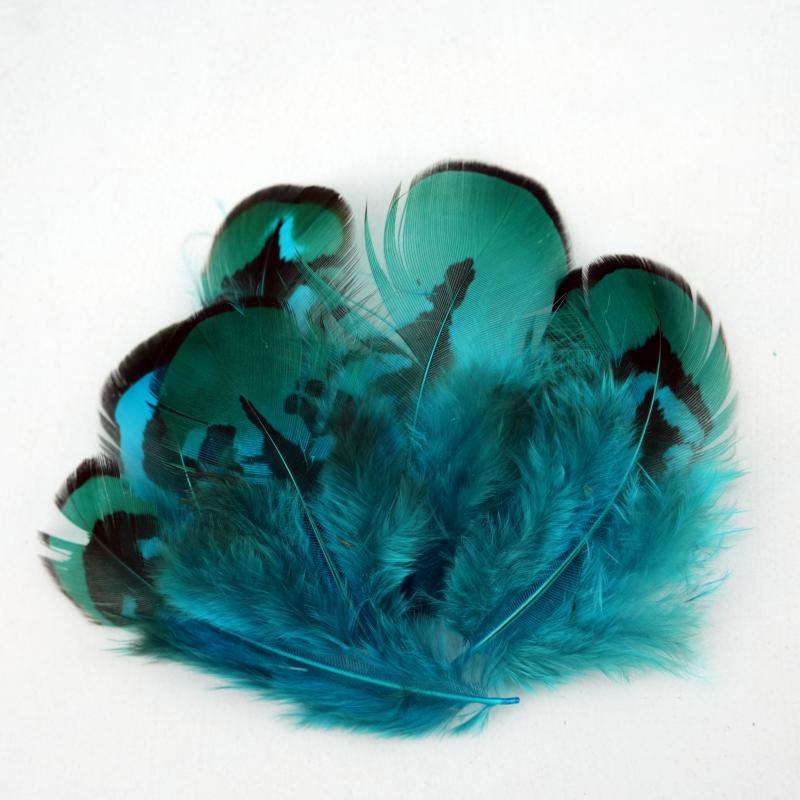 Natural DIY Pheasant Feathers  - Wedding Supply In Bulk recensie en prijs