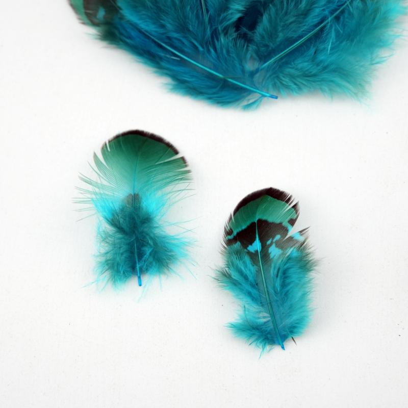 Natural DIY Pheasant Feathers  - Wedding Supply In Bulk recensie en prijs