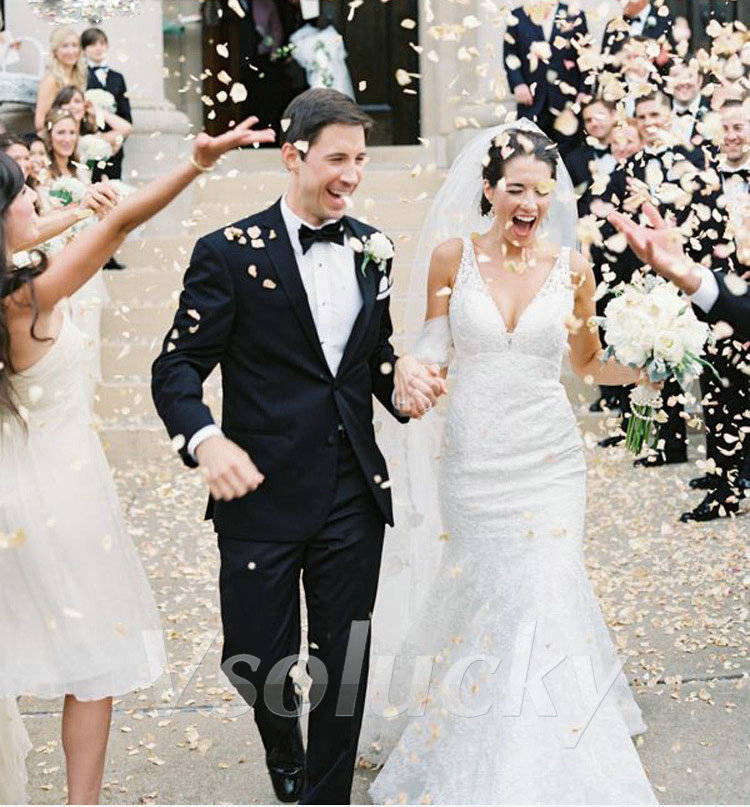 100pcs/pack Silk Rose Petals T - Supply Wedding Venue recensie en prijs