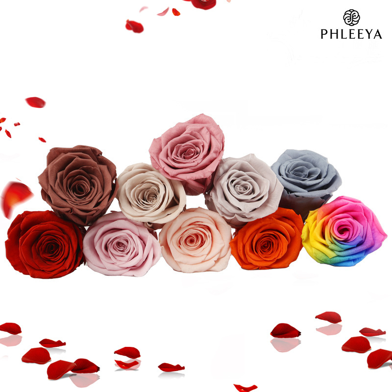 6pcs Eternal Rose Flower Heads - Wedding Supply In Bulk recensie en prijs